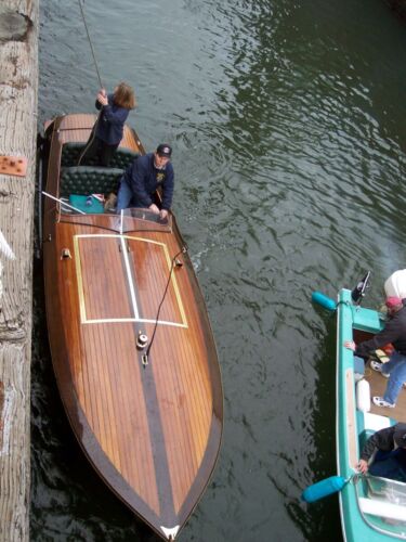 Blackthorn-In-the-locks