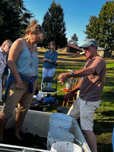 Lessons-on-grapes-and-wine