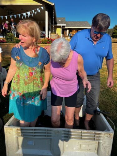 grape-stomping-3